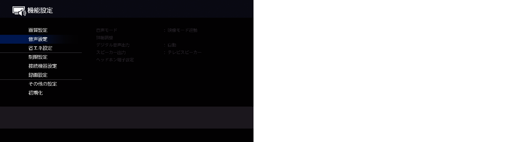 OSD_Audio setting_3020